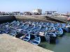 Fischer-Boote-Hafen-Essaouirra-Marokko.JPG