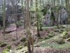 Filename=Wandern-im Altmuehltal-Bayern.JPG
Filesize=188KB
Dimensions=653x490
Date added=May 05, 2013 Wandern-im Altmuehltal-Bayern.JPG