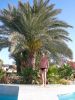 urlaub-djerba-tunesien-palme-pool-hotel- club-magic-live-penelope-beach-imperial.JPG