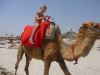 Kamel-Reiten-Sand-Strand-Insel-Djerba-Tunesien .jpg