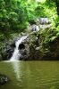 Urlaub Karibik Insel Tobago Argyle Wasserfall.JPG