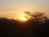 sonnen-untergang-masai-mara-national-park-kenia.jpg