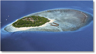 Screenshot: Fihalhohi Island Resort, Süd Male Atoll, Malediven Reisen