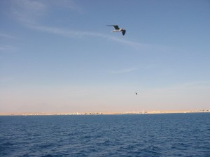 Bootstour Urlaub Hurghada Rotes Meer Ägypten