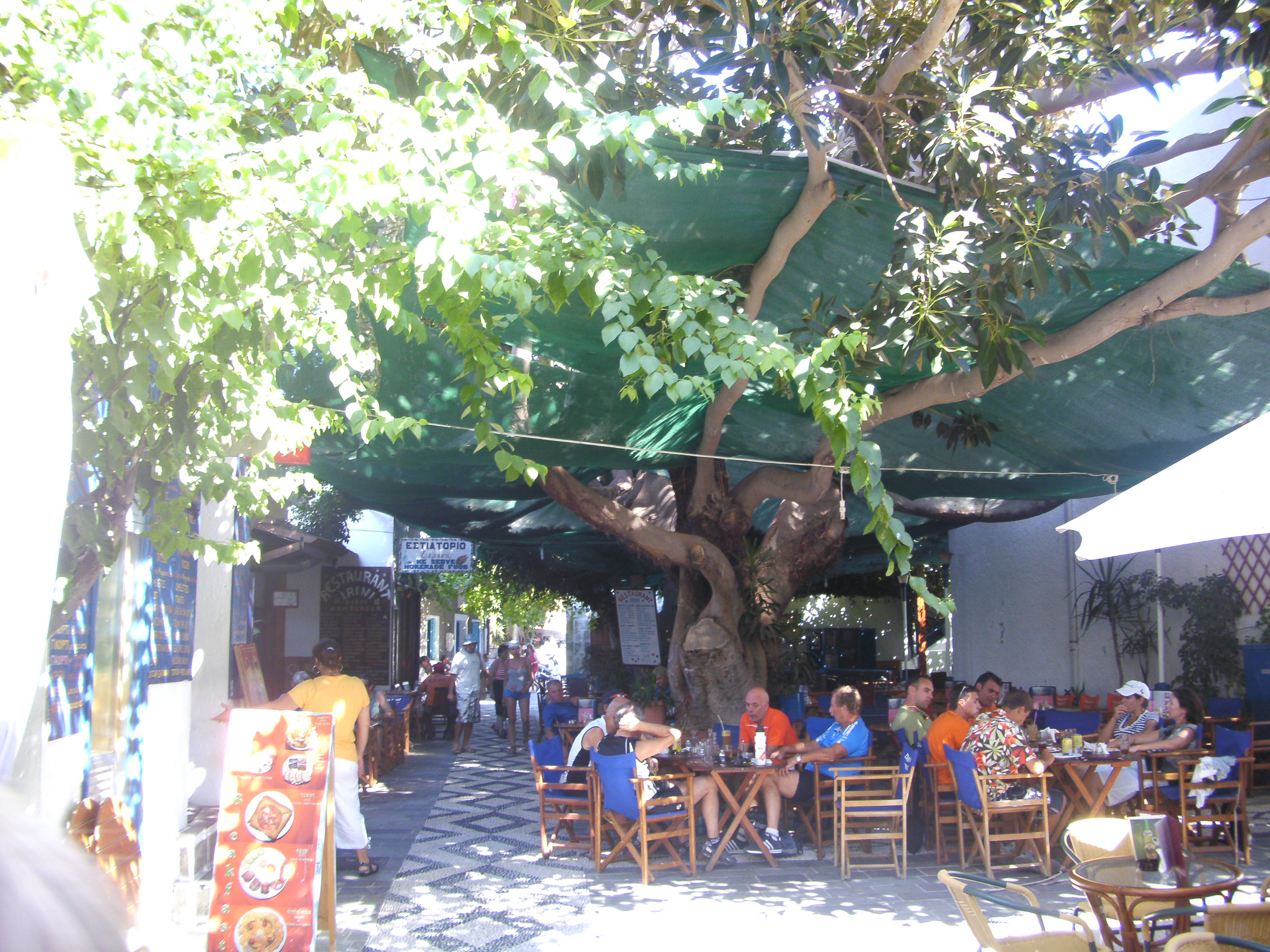 Urlaub Ausflug Marktplatz Mandraki Benjamini Gummibaum Tavernen Kafenions Griechenland Reise