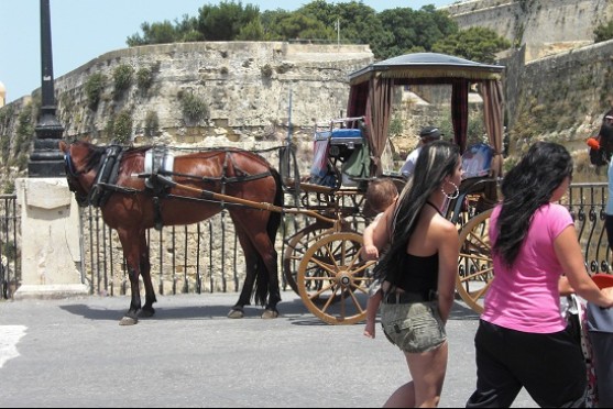 Foto: Kutschfahrten beliebt bei Touristen und Urlaubern