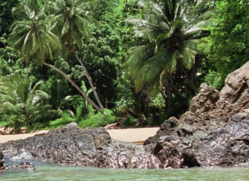 Karibikurlaub Karibikinsel Sandstrand Palmen